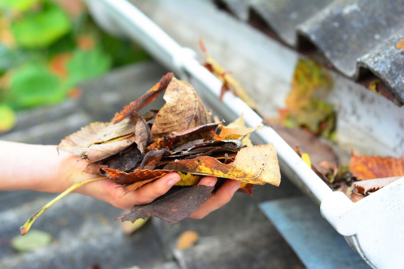 Debris-Free Gutters